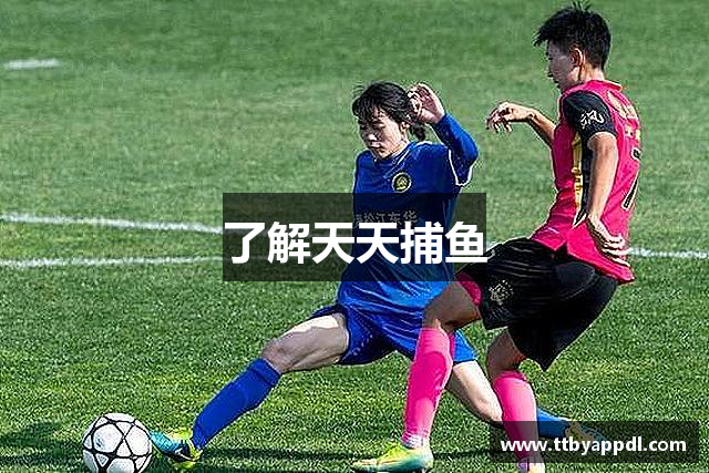 了解天天捕鱼